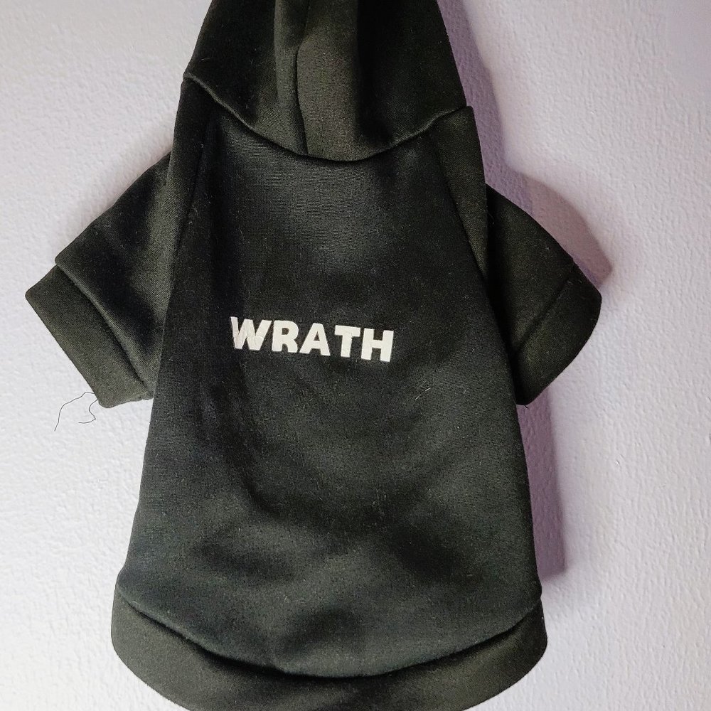 Letter Graphic Black Small Pet Hoodie